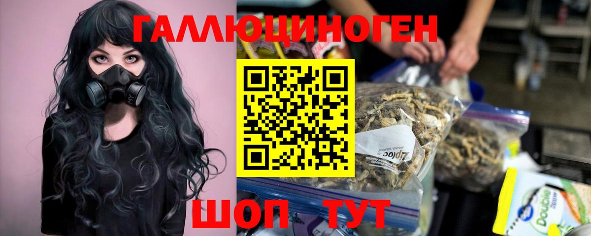 Ефремов  Псилоцибиновые грибы Psilocybe  Вход с VPN  Псилоцибиновые грибы GOLDEN TEACHER 
